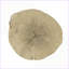 Table basse Natural