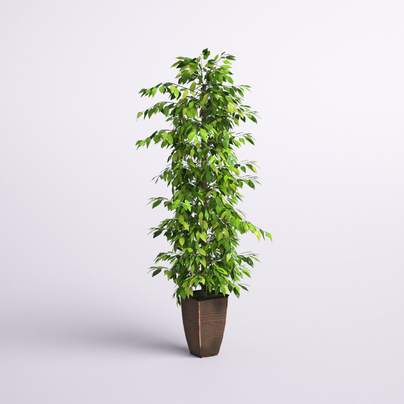 96'' Faux Ficus Tree in Metal Planter