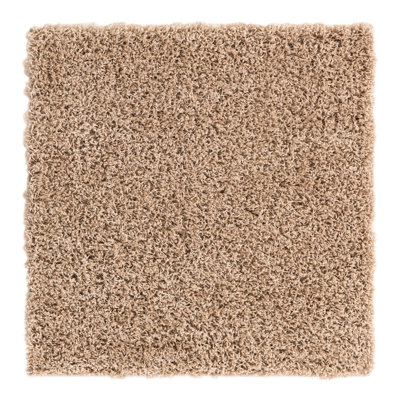 Santoya Indoor Rug
