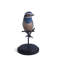 Whiskered Treeswift