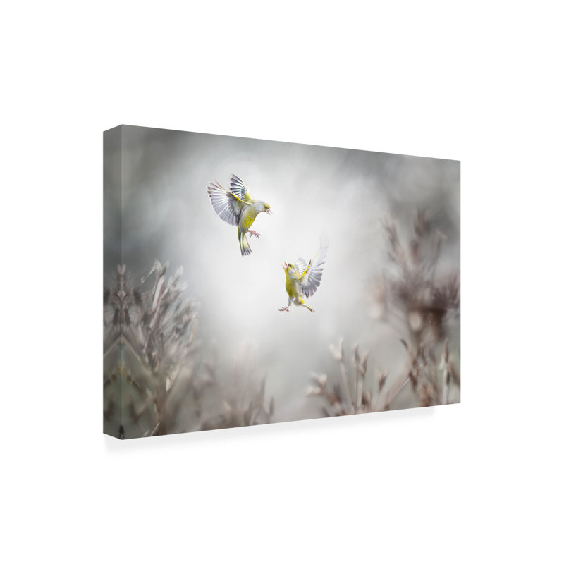 Art sur toile «Bachelor Doris Reindl», H 12 po x l 19 po