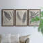 «Vintage Fern Study II», ensemble de 3 reproductions d'art sur toile-59877553-59877566