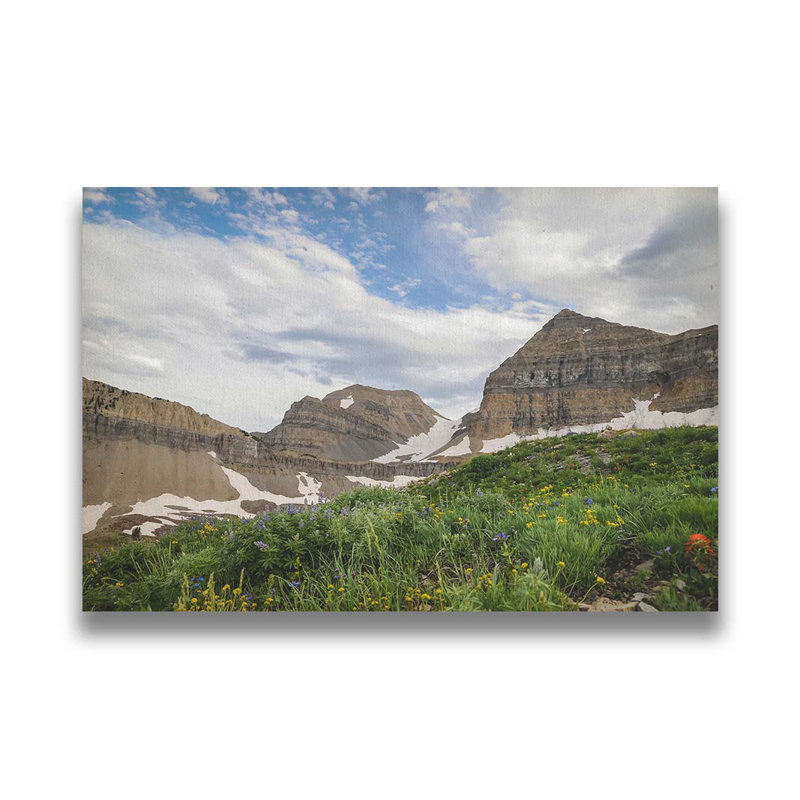 L'été à Timpanogos par Scott Barlow. Impression sur papier - Montée et encadrée, H 34 po x l 49 po