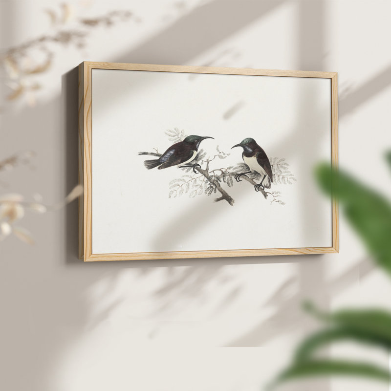 Faune rétro-XXIII - reproduction encadrée - réaménageable, Naturel, H 22 po x l 28 po