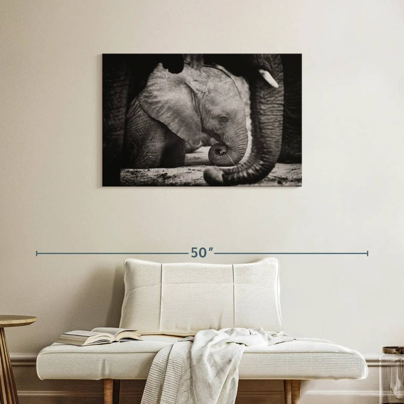 Brampt Napping Baby Elephant, 24" H x 36" W