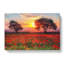 Poppy Meadow - Wrapped Canvas-55322717