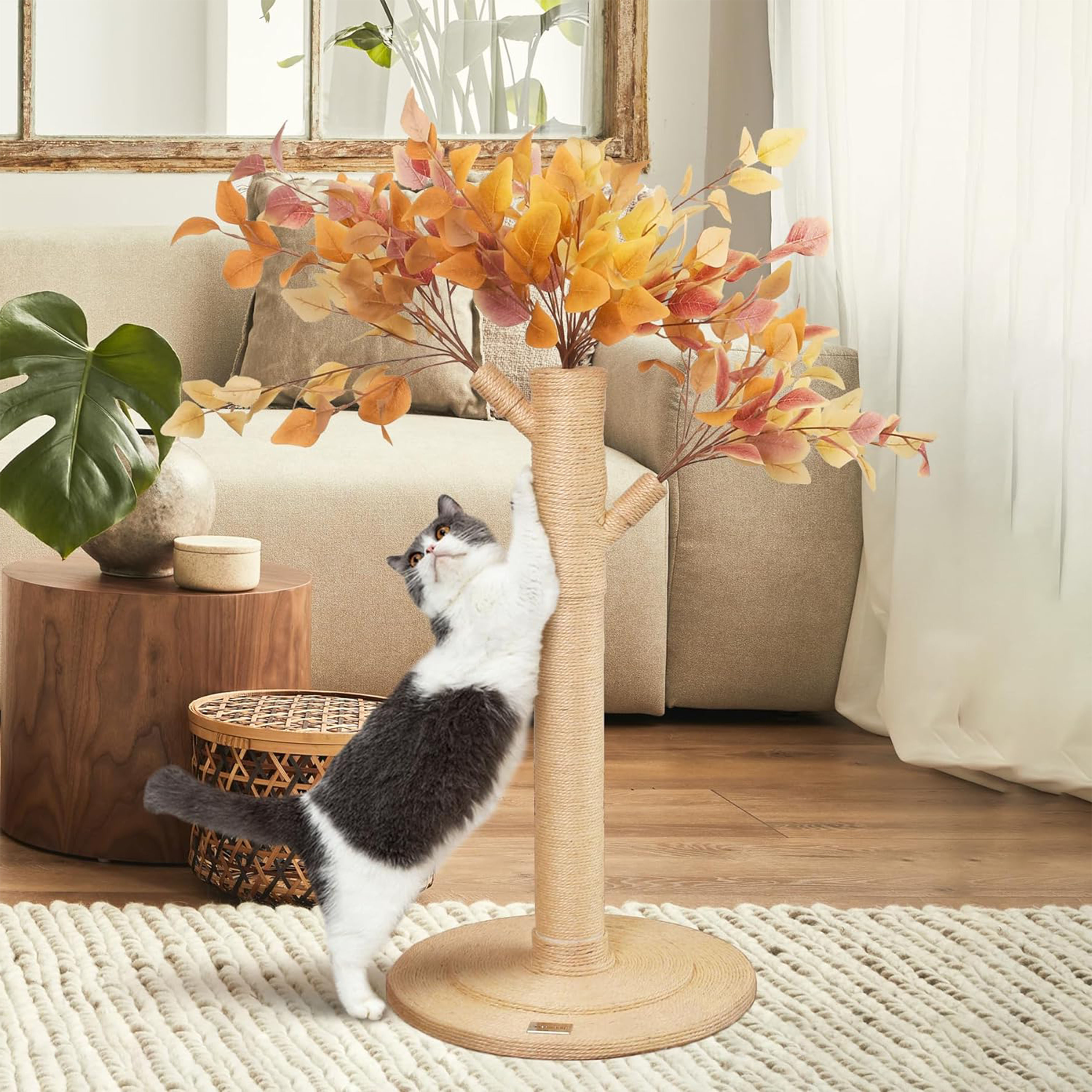 Cheapest cat 2024 scratching post