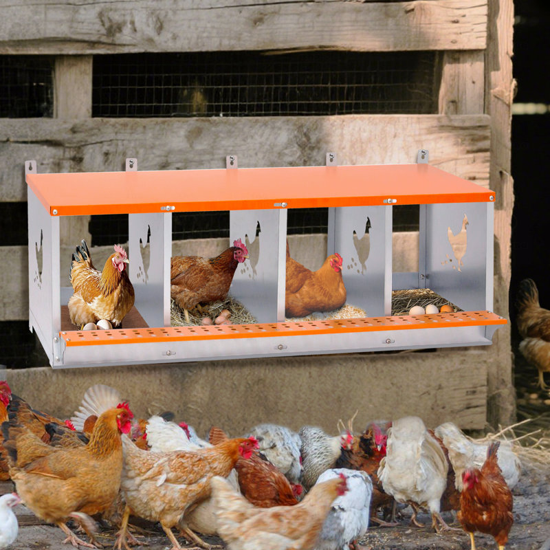 Boîte à nid en métal pour poules