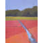 Cranberry Bog Print by Phyllis Adams-1961280960