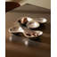 Babyboop Stainless Steel Divided Serving Dish