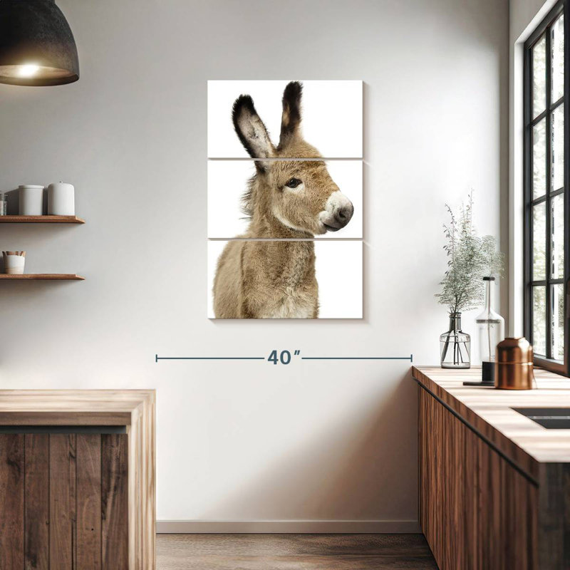 Bébé âne, H 38 po x l 24 po