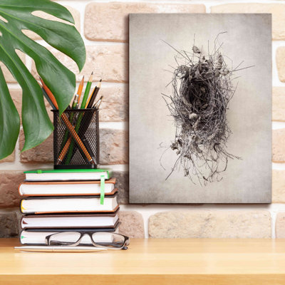 'Nest II' by Debra Van Swearingen, Canvas Wall Art