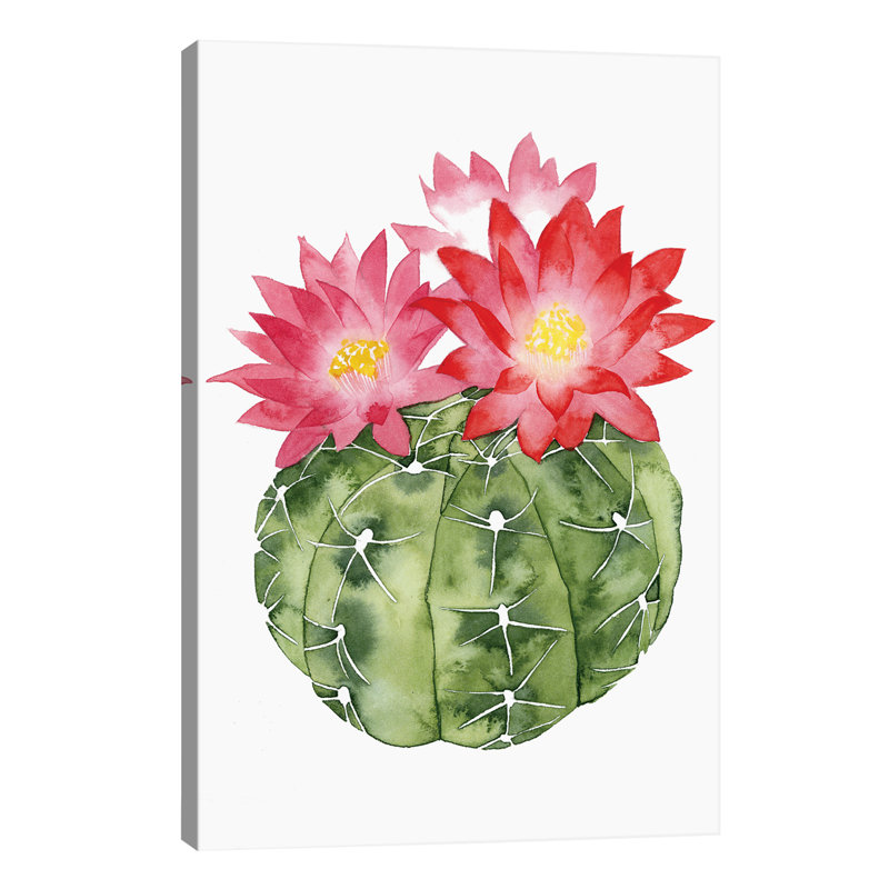 Cactus Bloom III by Grace Popp - Wrapped Canvas Painting, 66.04 cm H x 45.72 cm W x 1.91 cm D
