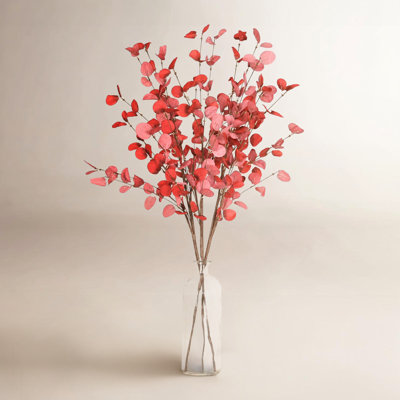 Eucalyptus Floral Stems