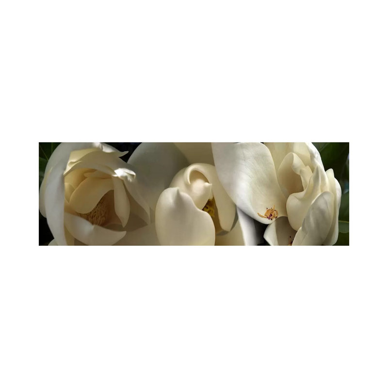 Magnolia Flowers #5 1 Piece Wrapped Canvas Panoramic Wall Art, 121.92 cm H x 40.64 cm W x 1.91 cm D