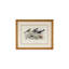 Skylark Song Thrush And R/Breast Print