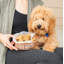 Nordic Ware Non-Stick Rectangle Puppy Love Pan