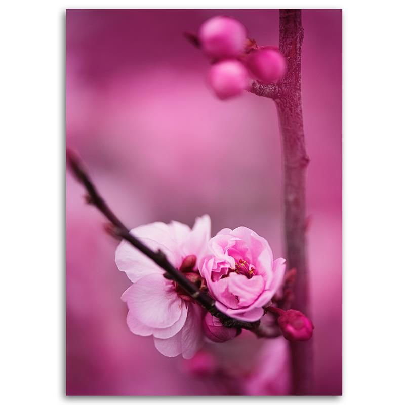 Leinwandbild Pink Flower on a Twig