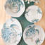 Tartaruga Terra Bianca Serving Bowl