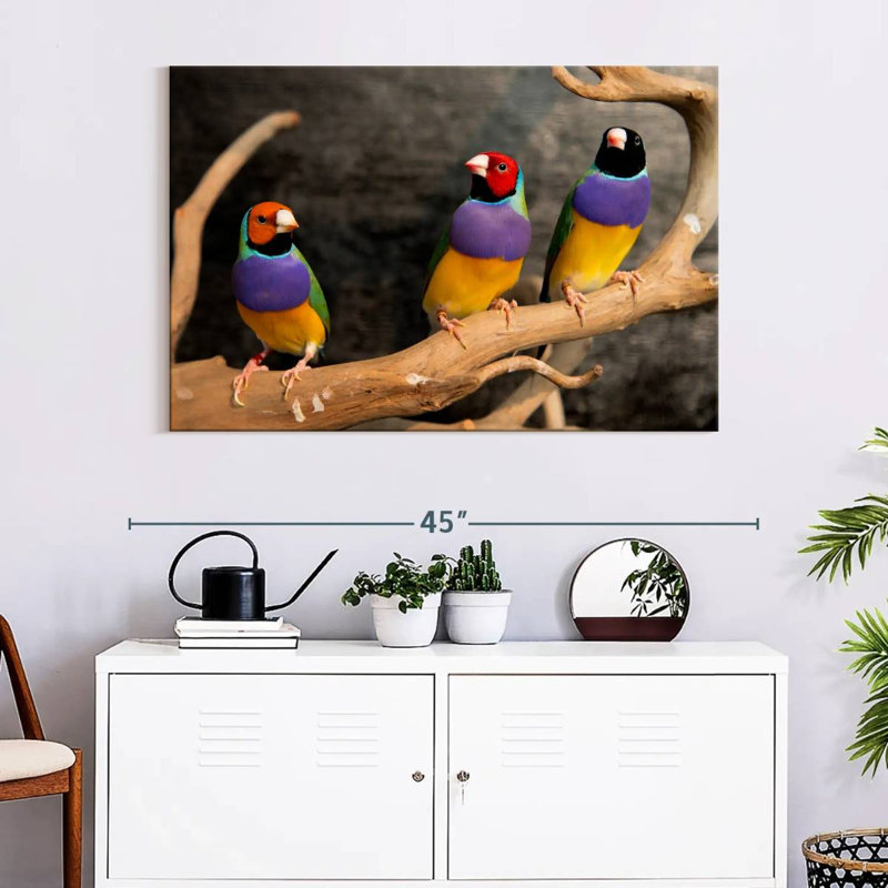Rainbow Finches, 26" H x 39" W