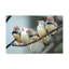 No Frame Print on Canvas-2130732388