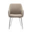 Centanne Fabric Dining Chairs with Chrome Legs-217170672