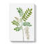 Acacia Tree Flowers - Wrapped Canvas-55368622