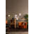 Lico 20'' Solid Wood Bar Cabinet
