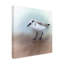 «Sand Piper B» par David Manlove, impression sur toile tendue-671078560