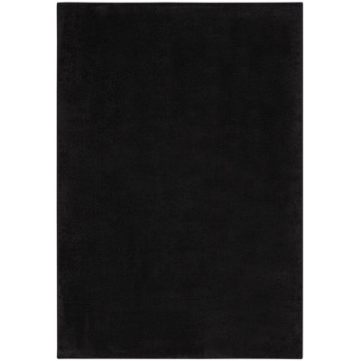 Nourison Essentials Black Indoor/Outdoor Area Rug