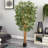 Fancy Style Bamboo Tree-574465451