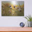 «Daisy at Sunset» par Martin Podt, art mural en métal-516366769