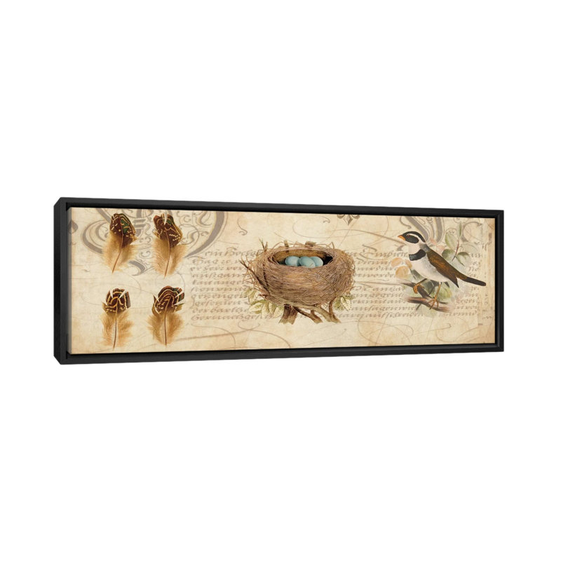 «Nesting I» par Deborah Devellier, impression sur toile tendue, H 12 po x l 36 po x P 1,5 po, Cadre noir