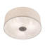 Zionsville 3 - Light Flush Mount-1690925340