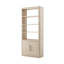 Horizon Bookcase