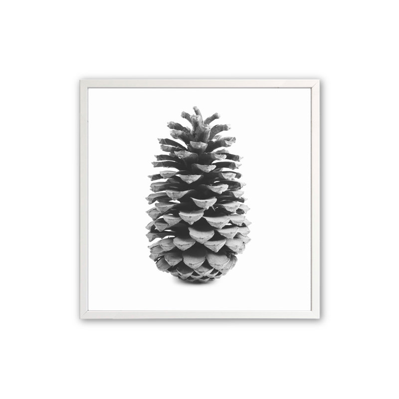 «Portrait of a Pinecone» par Krista Mosakowski - Cadre photo unique, impression, H 20,5 po x l 20,5 po x P 1,25 po