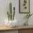 Stoneware Sculptural Planter