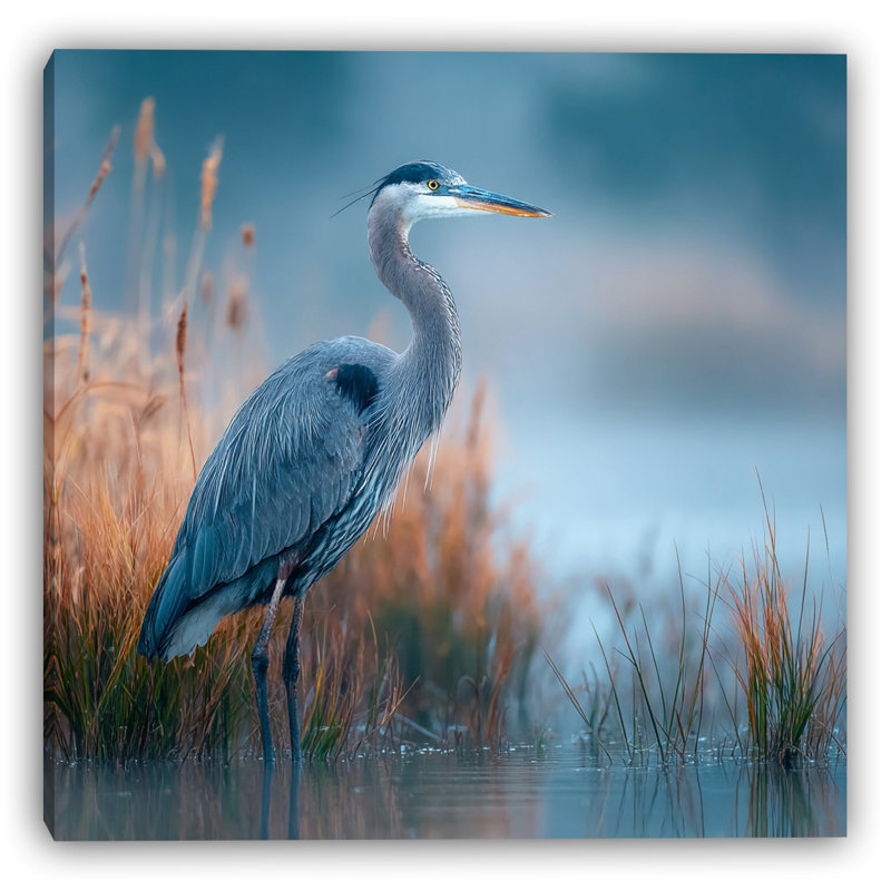 «Coastal Blue Heron», art mural sur toile tendue