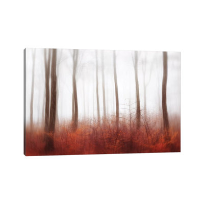 Endless Woods by Gustav Davidsson - Print on Canvas