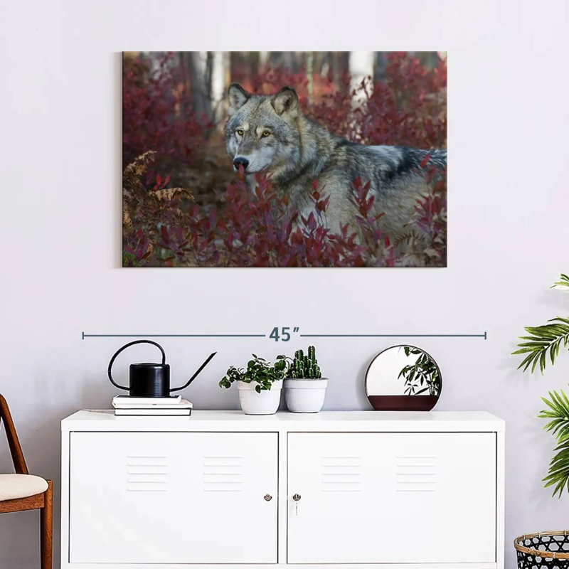 Brampt Gray Timber Wolf, 24" H x 36" W