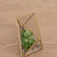 Plante grasse artificielle 3 po en terrarium