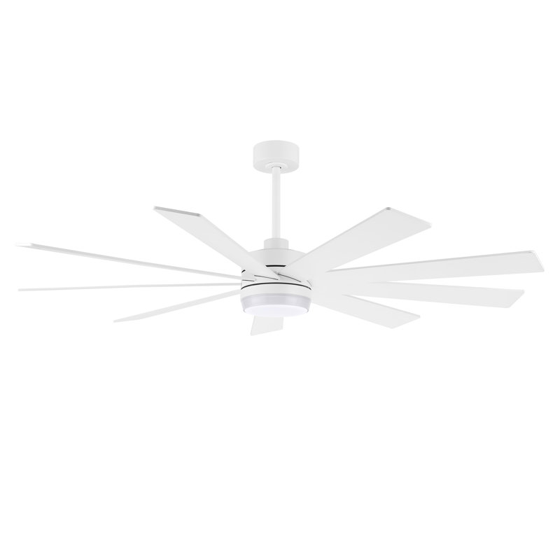 Babrak 65'' Ceiling Fan with LED Lights, White