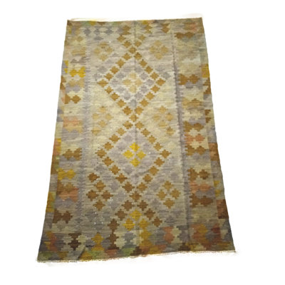 Abana Southwestern Hand Woven 190cm X 300cm Area Rug