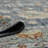 Torina Oriental Hand-Knotted New Zealand Wool Area Rug-50188245