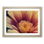 Dramatic Flower - Single Picture Frame Print-132674756-132677579