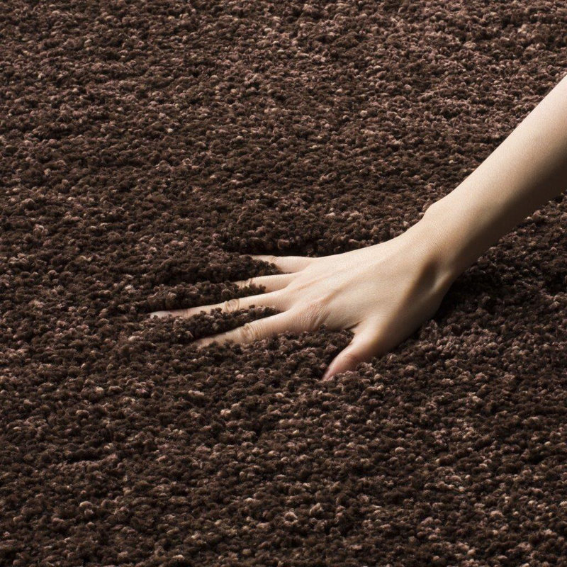 Starr Hill Brown Area Rug, Rectangle 2' x 12'