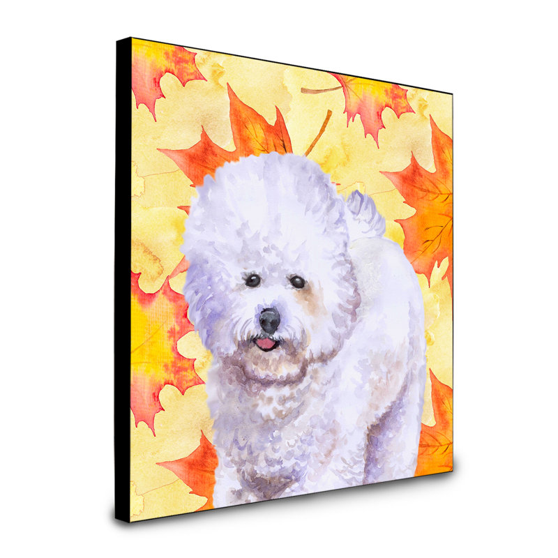 Panneau mural d’art Cannes, Bichon frisé blanc