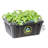 Hydrofarm Growing Kit