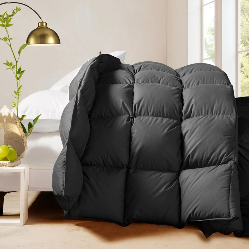 780+ Fill Power Goose Down and Feather Twin Size - Grey All Season Comforter Duvet Insert With Tabs
