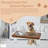 Elevated Feeder-88145648-88145645